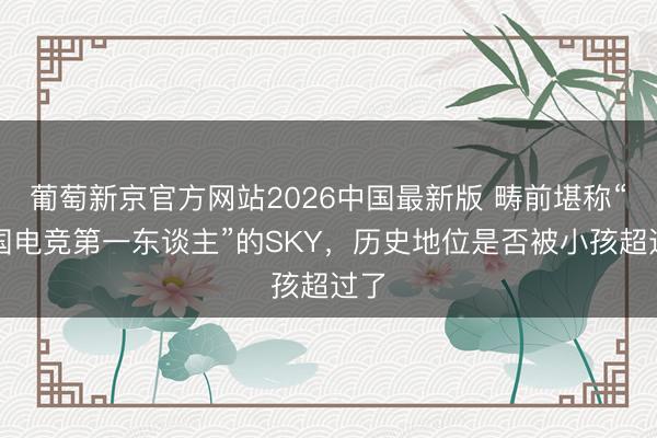 葡萄新京官方网站2026中国最新版 畴前堪称“中国电竞第一东谈主”的SKY,历史地位是否被小孩超过了