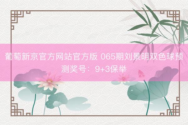 葡萄新京官方网站官方版 065期刘景明双色球预测奖号:9+3保举