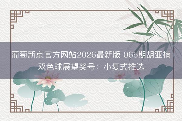 葡萄新京官方网站2026最新版 065期胡亚楠双色球展望奖号：小复式推选