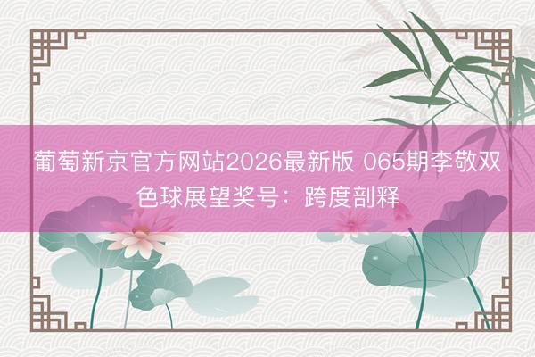 葡萄新京官方网站2026最新版 065期李敬双色球展望奖号：跨度剖释