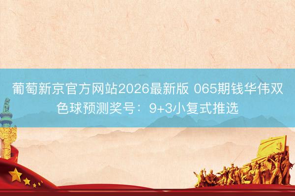 葡萄新京官方网站2026最新版 065期钱华伟双色球预测奖号：9+3小复式推选