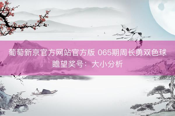 葡萄新京官方网站官方版 065期周长勇双色球瞻望奖号：大小分析