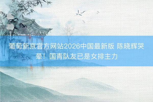 葡萄新京官方网站2026中国最新版 陈晓辉哭晕!国青队友已是女排主力