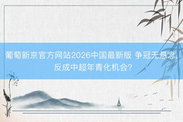 葡萄新京官方网站2026中国最新版 争冠无悬念, 反成中超年青化机会?