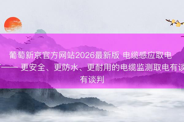 葡萄新京官方网站2026最新版 电缆感应取电 CT—— 更安全、更防水、更耐用的电缆监测取电有谈判