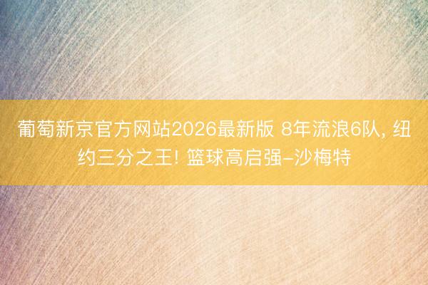 葡萄新京官方网站2026最新版 8年流浪6队， 纽约三分之王! 篮球高启强-沙梅特