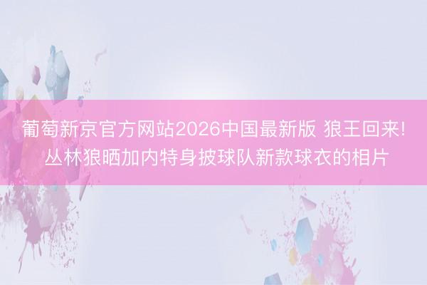 葡萄新京官方网站2026中国最新版 狼王回来! 丛林狼晒加内特身披球队新款球衣的相片