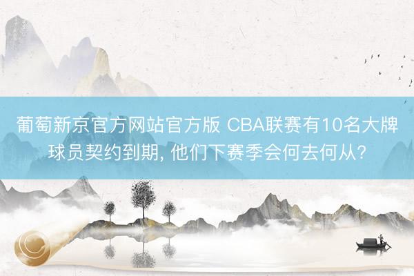 葡萄新京官方网站官方版 CBA联赛有10名大牌球员契约到期, 他们下赛季会何去何从?