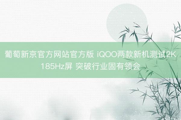 葡萄新京官方网站官方版 iQOO两款新机测试2K185Hz屏 突破行业固有领会