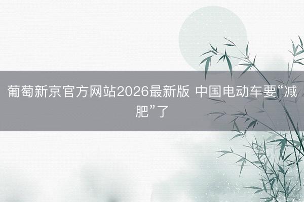 葡萄新京官方网站2026最新版 中国电动车要“减肥”了
