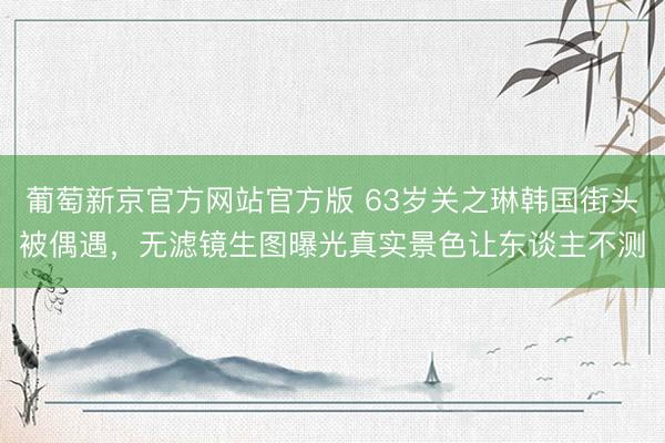 葡萄新京官方网站官方版 63岁关之琳韩国街头被偶遇，无滤镜生图曝光真实景色让东谈主不测