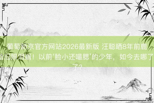 葡萄新京官方网站2026最新版 汪聪晒8年前鹿晗旧照泪崩！以前‘脸小还嘬腮’的少年，如今去哪了？