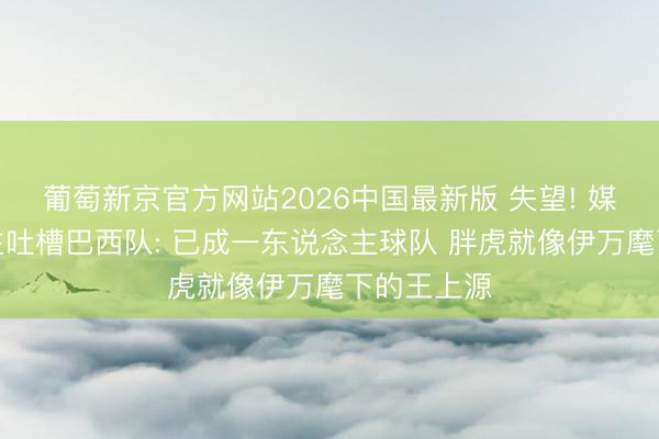 葡萄新京官方网站2026中国最新版 失望! 媒体东说念主吐槽巴西队: 已成一东说念主球队 胖虎就像伊万麾下的王上源