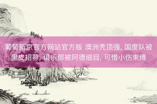 葡萄新京官方网站官方版 澳洲秃顶强, 国度队被里皮招募, 俱乐部被阿德细目, 可惜小伤束缚